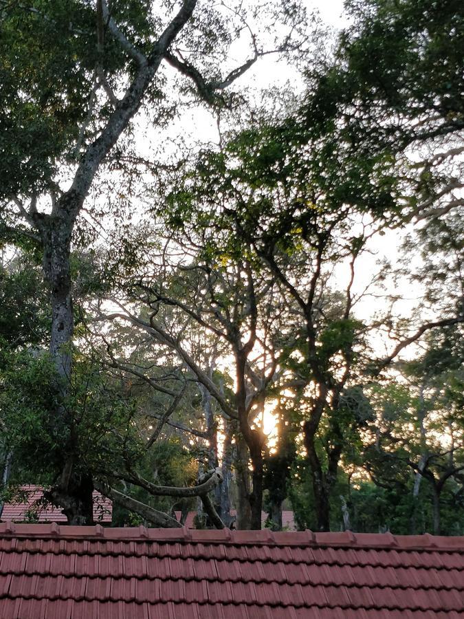 The Birchwood Retreat, Madikeri Hotel Exterior photo